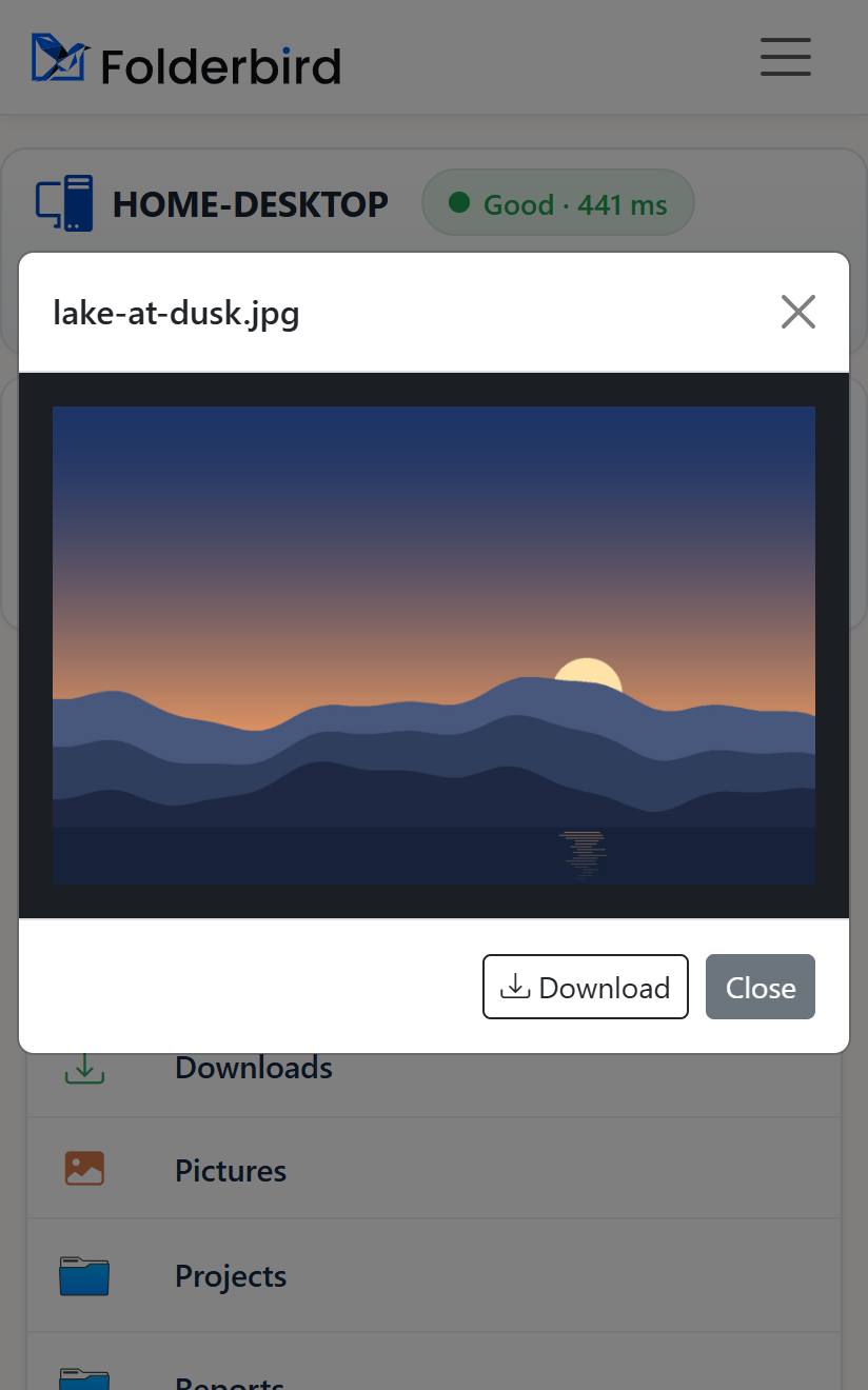 A photo preview on a phone